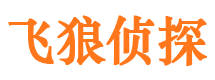 青山湖外遇调查取证